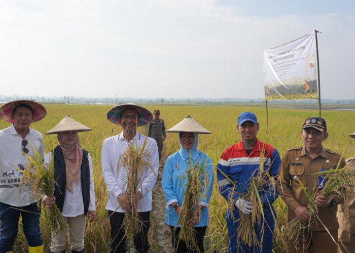 Bupati-Wabup Panen Raya Padi Organik di Bojonegoro, Buktikan Tanah Subur dan Petani Sejahtera