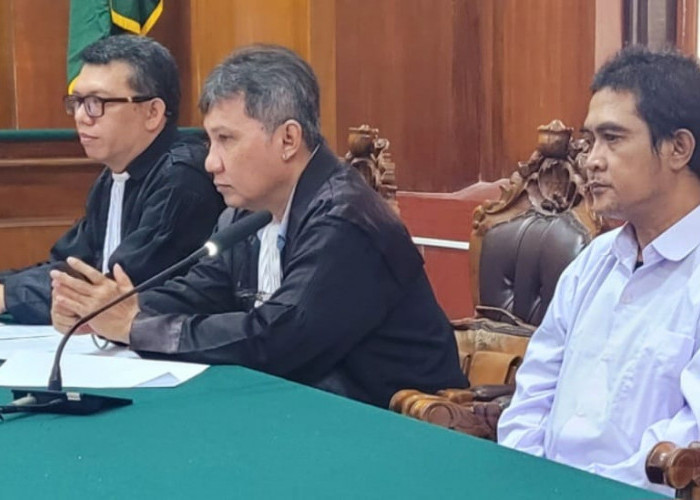 Sengketa Pohon Mangga Berdarah di Sidoyoso, Saksi Ungkap Kejadian Perkara