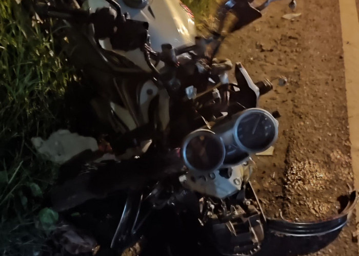 Adu Banteng Motor vs Mobil di Driyorejo Gresik, Satu Luka Berat
