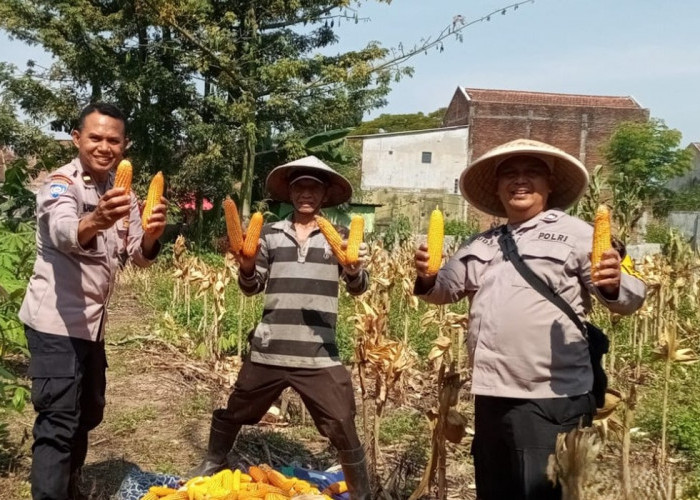 Polsek Blimbing Perkuat Ketahanan Pangan, Dukung Aktivitas Pertanian di Malang