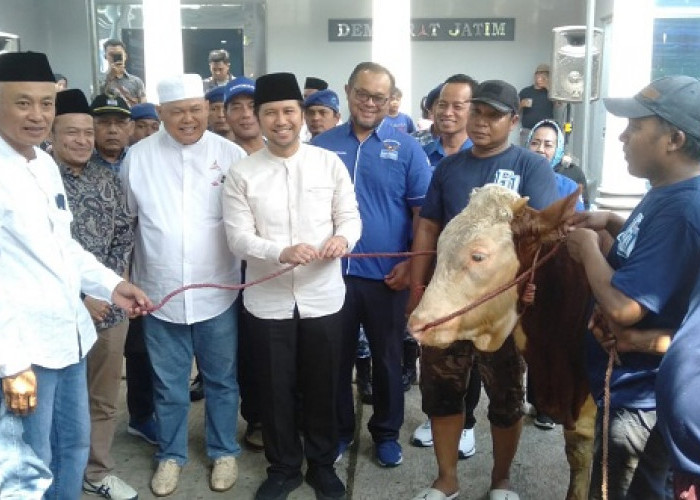 Musda Demokrat Jatim 2026, Emil Dardak Tunggu Keputusan DPP