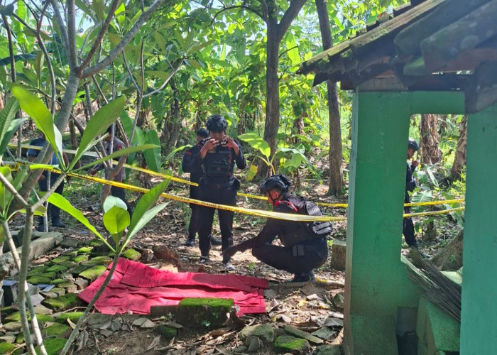 Geger! Warga Menganti Gresik Temukan Granat Aktif di Makam Desa Setro