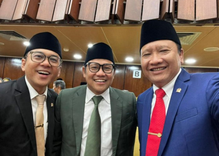 Irsyad Yusuf Dilantik DPR RI, Tersenyum Bareng Muhaimin Iskandar