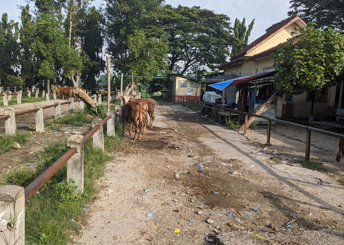 Soal Penutupan Pasar Hewan, Pemkab Ngawi Abaikan SE Menteri Pertanian