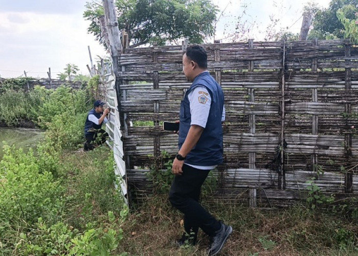 Limbah Tambak di Ujungpangkah Timbulkan Bau dan Ancam Ekosistem Pesisir, DLH Gresik Lakukan Sidak