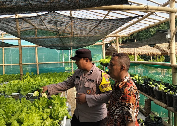 Bhabinkamtibmas Pantau Budidaya Selada Air, Dukung Ketahanan Pangan di Ngawi 