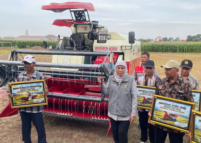Jatim Salurkan 341 Alsintan, Produksi Padi Tembus 10,24 Juta Ton di Mojokerto