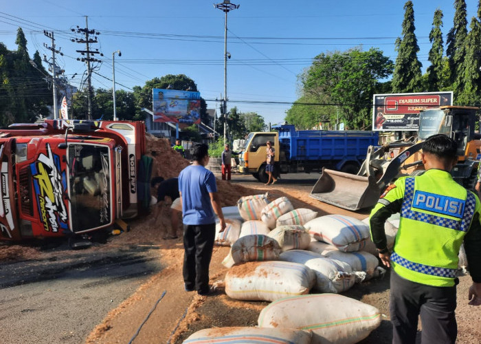 Kecelakaan Tunggal, Truk Serbuk Kayu Terguling di Depan Pos Lantas Situbondo