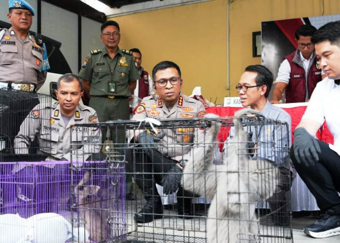 Polresta Sidoarjo Ungkap Perdagangan Satwa Dilindungi Antarnegara