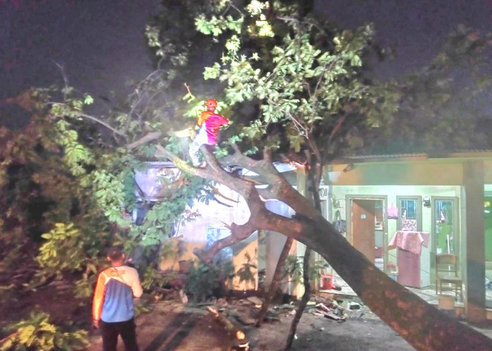 Angin Kencang Terjang Prigen, 5 Rumah dan Gedung LMDH Rusak