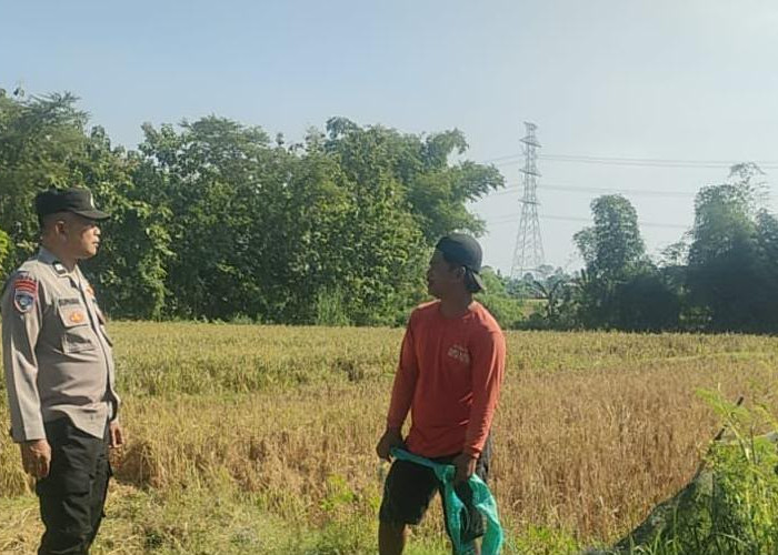 Polsek Pangkur Gencarkan Bhatarling, Wujudkan Ketahanan Pangan Nasional di Ngawi 