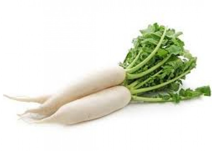 Manfaat Lobak untuk Kesehatan Tubuh