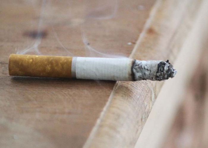 Hati-Hati! Inilah 5 Dampak Buruk Dari Merokok, Menyebabkan Kanker Sampai Penyakit Jantung