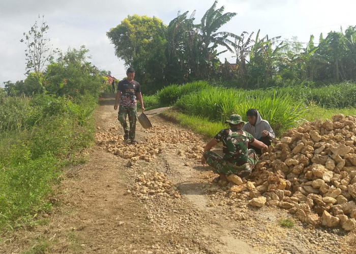 Kerja Cepat Satgas TMMD, 500 Meter Dasar Jalan Mandala Tuntas dalam Hitungan Hari