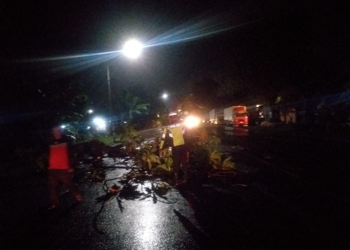 Polsek Balongbendo Evakuasi Pohon Tumbang, Arus Lalu Lintas Kembali Lancar