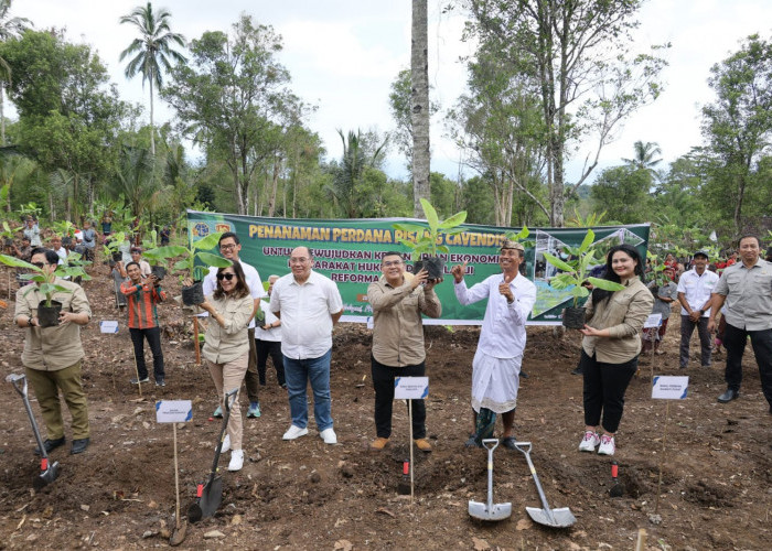 Wamen ATR/Waka BPN Tanam Pisang di Jembrana, Wujud Penataan Akses Tanah Ulayat Pertama di Indonesia