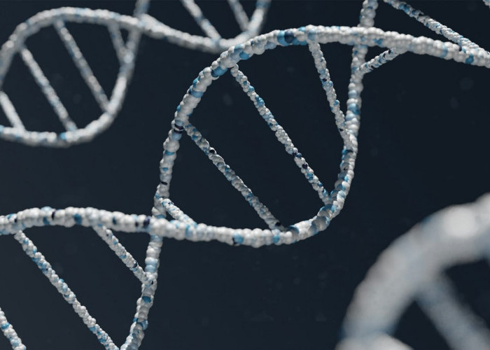 7 Manfaat Tes DNA Tak Cuma Cek Garis Keturunan Tapi Juga Profil Kesehatan