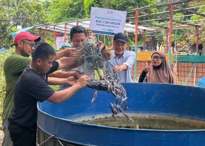 Inspiratif Upaya Kelompok Cah Angon Ketintang Surabaya Memberdayakan Warga Lewat Budidaya Lele