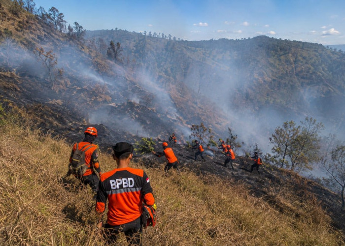 Akses Bromo dari Senduro Ditutup Sementara Akibat Karhutla, Keselamatan Pengunjung Jadi Prioritas