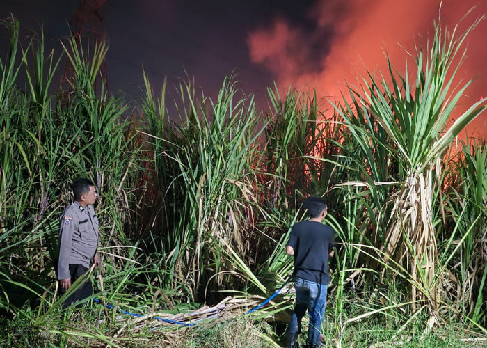 Padamkan Karhutla di Lahan Tebu Desa Popoh, Polsek Wonoayu Bersama Warga Cegah Api Merembet ke Pemukiman