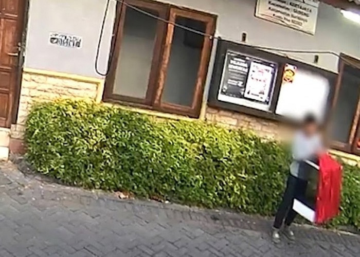 Burung Cucak Hijau Langganan Juara Seharga Rp 7 Juta Raib Digondol Maling