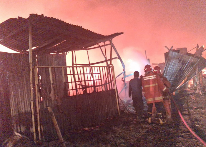Kebakaran Hanguskan Rumah Semi Permanen di Manyar Gresik, Pemilik Rugi Rp300 Juta