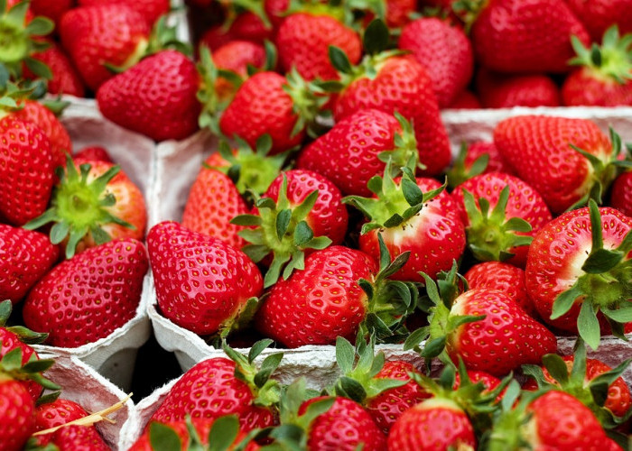 Sambal Strawberry, Sensasi Kuliner yang Wajib Dicoba