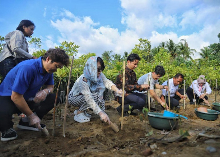 Delegasi Korea Selatan Kunjungi Trenggalek, Kagumi Potensi Wisata dan Inovasi Penanganan Kemiskinan