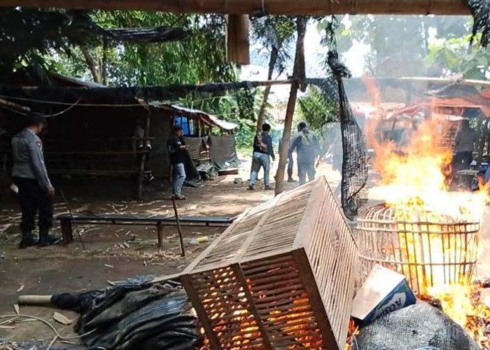 Polsek Ngronggot Bongkar Lokasi Diduga Perjudian Sabung Ayam di Klurahan