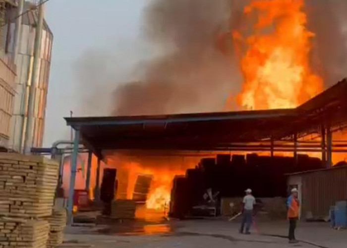 Kebakaran PT Nankai Indonesia di Gresik Merembet ke PT Achmadi Pasca Perintis, Dua Pekerja Jadi Korban