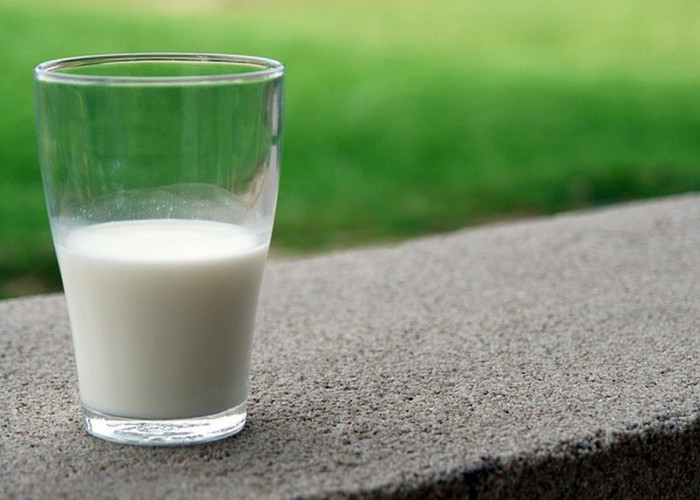 10 Manfaat Susu Kambing untuk Kesehatan