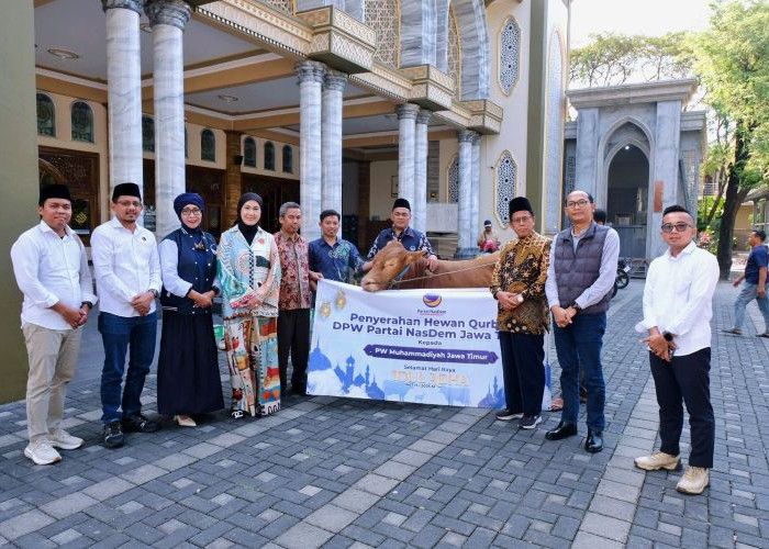  DPW Partai NasDem Jawa Timur Salurkan Hewan Kurban Ke PWNU dan PWM