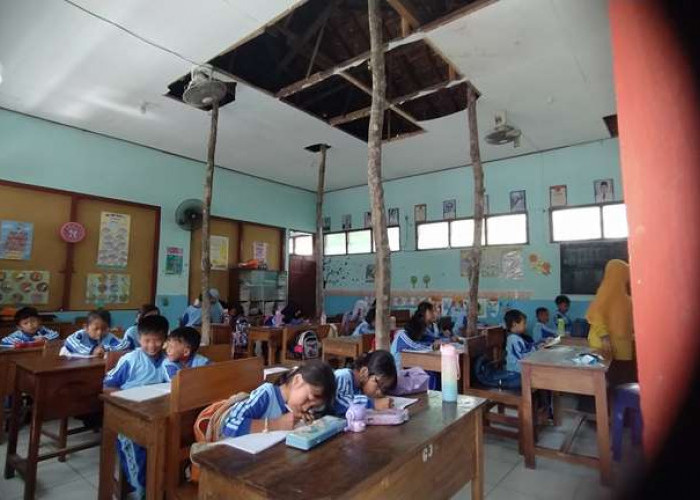 Tiga Ruangan Kelas SDN Grudo 3 Ngawi Rusak Parah, Tak Tersentuh Pemerintah 