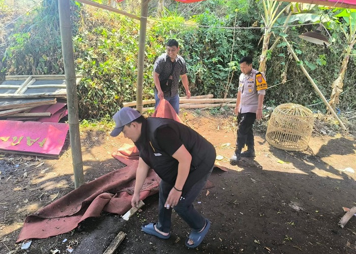 Polisi Bongkar Arena Sabung Ayam di Karangploso Malang