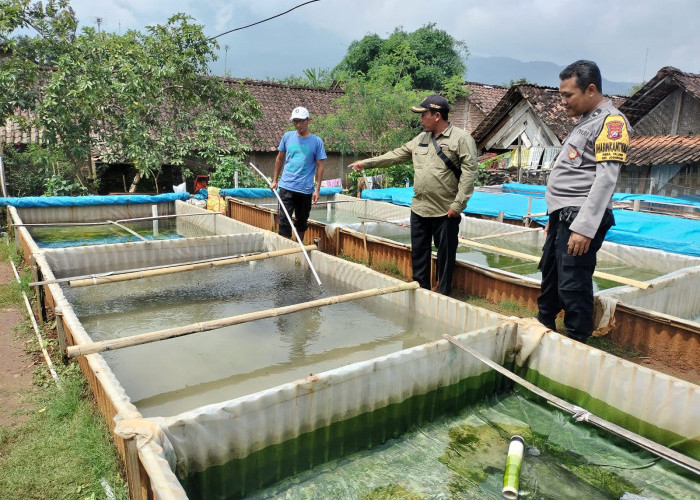 Dukung Ketahanan Pangan, Polsek Jogorogo Ngawi Tinjau Budidaya Lele Warga