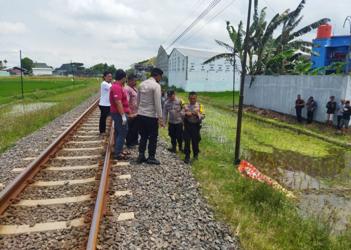 Tragedi Tukang Bentor Tewas Tertabrak Kereta Api Doho, Polisi Olah TKP