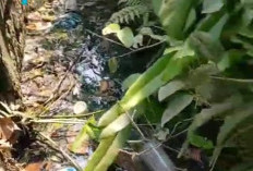 Limbah Hitam SPPG Tumenggungbaru Lamongan Bikin Warga Pusing! IPAL Ada Tapi Bau Masih Menyengat