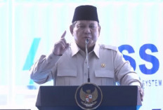 Presiden Pastikan Penanganan Karhutla Segera Selesai, Puluhan Helikopter Dikerahkan