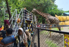 Wisata Surabaya Minim Terobosan, Aset Besar Kontribusi PAD Belum Maksimal