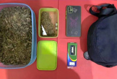 Pengusaha Sablon Asal Jember Sembunyikan Ganja Dalam Toples