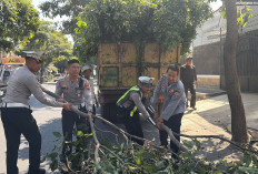 Cegah Laka Lantas, Satlantas Polres Situbondo Bersama DLH dan Dishub Bersihkan Ranting Penutup PJU