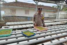 Dukung Asta Cita, Polsek Padang Ajak Warga Optimalkan Pekarangan Jadi Lahan Pangan Produktif