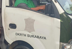 Semangat Kartini Masa Kini pada Sosok Kurniasari, Srikandi DLH Surabaya: Jangan Pernah Patah Semangat