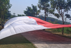 Pengibaran Bendera Raksasa 15 Meter Meriahkan HUT Ke-81 RI di Gresik
