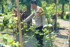 Dukung Program Asta Cita, Polsek Bangil Gerakkan Ketahanan Pangan Lewat P2B di Kalirejo