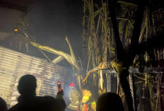 Hendak ke Kamar Mandi, Penghuni Rumah di Bungah Gresik Kaget Dapur Terbakar