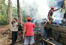 Lalai Matikan Tungku, Tempat Produksi Tahu dan Gudang Sabut Kelapa di Trenggalek Terbakar