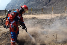 Personel Damkar Surabaya Diterjunkan Padamkan Karhutla di Bromo