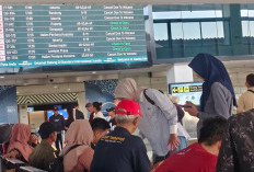 Penerbangan Surabaya-Jakarta Batal Mendadak, Penumpang Berburu Tiket Kereta dan Bus