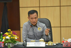 Legislator Minta Kemendagri Perkuat Pembinaan Cegah Korupsi Kepala Daerah